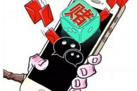 柏乡企业清欠服务